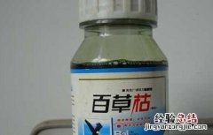 百草枯怎样使用效果最好 百草枯的使用方法和注意事项