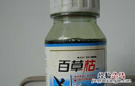 百草枯怎样使用效果最好 百草枯的使用方法和注意事项