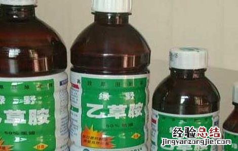 乙草胺的作用对象和功效 甲草胺与乙草胺的作用与区别