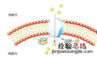载体的类型 进来了解了解