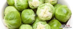 结球甘蓝是生菜吗 结球甘蓝是什么菜