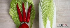 大白菜多久施一次肥 大白菜需要施几次肥