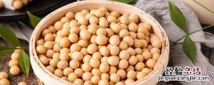 绥农94大豆品种怎么样 绥农94大豆品种