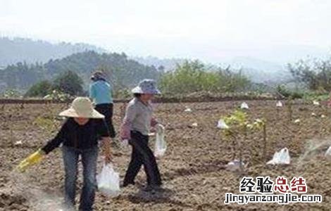 微生物菌剂使用注意事项 微生物菌剂使用注意事项及禁忌
