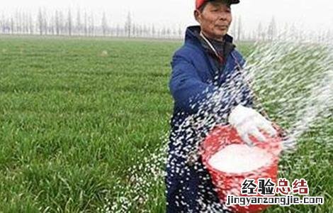 微生物菌剂使用注意事项 微生物菌剂使用注意事项和禁忌