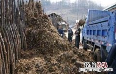 冬季堆肥操作要点 冬季堆肥操作要点是什么
