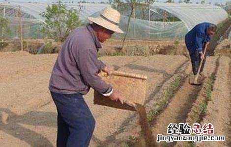 施用有机肥注意事项 施用有机肥注意事项和要求