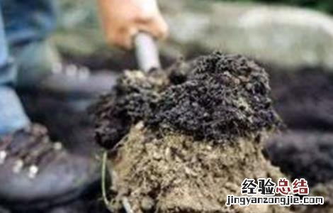 施用有机肥注意事项 施用有机肥注意事项和要求