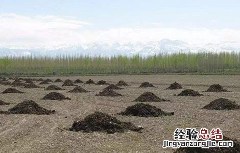 施用有机肥注意事项 施用有机肥注意事项和要求