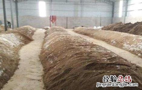 微生物菌剂的作用 先正达岱波路微生物菌剂的作用