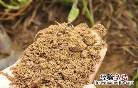 植物腐植酸与腐植酸区别 腐植酸种类和使用方法