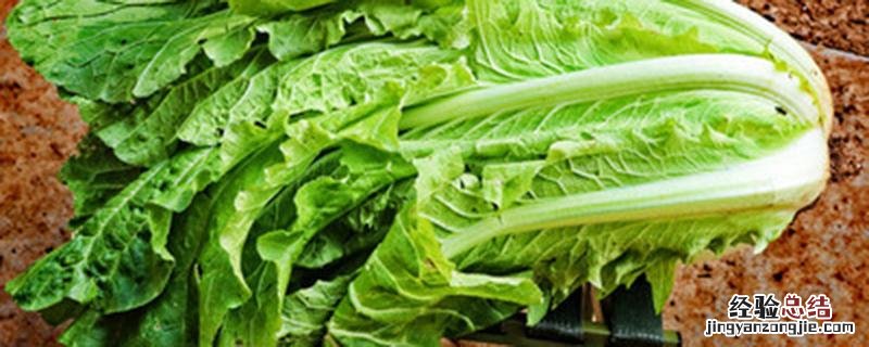 大白菜施肥用什么肥好 大白菜施肥用什么肥好些