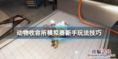 收容动物的地方 动物收容所游戏怎么玩