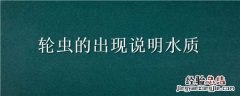 轮虫的出现说明水质海水 轮虫的出现说明水质