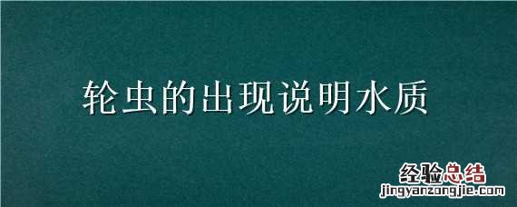 轮虫的出现说明水质海水 轮虫的出现说明水质