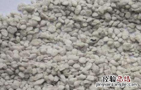 硅元素对植物的作用 硅元素对植物的作用是什么