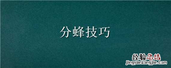 分蜂技巧,圆桶分蜂,3分钟学会,方法简单,值得收藏 分蜂技巧