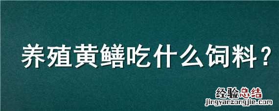 养殖黄鳝吃什么饲料好 养殖黄鳝吃什么饲料
