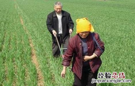 如何提高尿素利用率 如何提高尿素利用率
