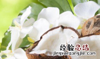 椰子的功效 椰子的好处