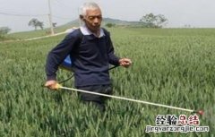 常用叶面肥种类有多少 常用叶面肥种类