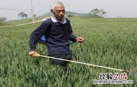 常用叶面肥种类 叶面肥全部种类及作用