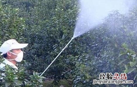 常用叶面肥种类 叶面肥全部种类及作用