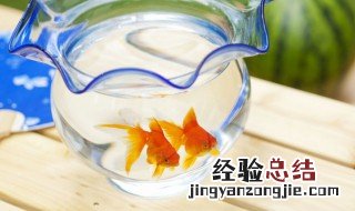 鱼缸摆放在阳台风水好吗 阳台鱼缸风水禁忌有哪些