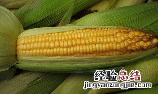 煮玉米需要多长时间 你知道答案了吗