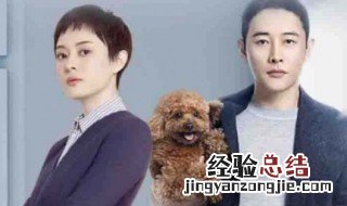 安家哪个频道播出 有这部剧的简单介绍吗
