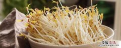 豆芽怎么生 豆芽怎么生长