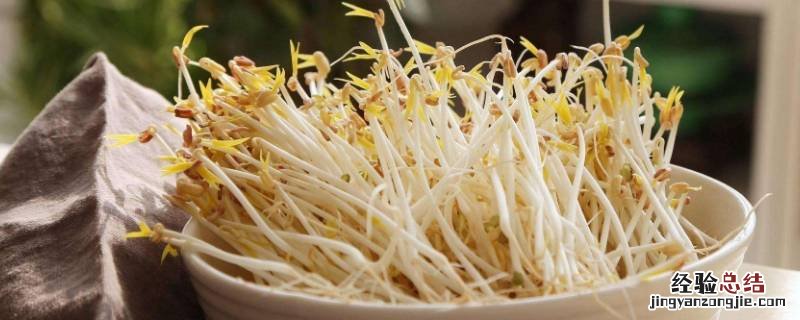 豆芽怎么生 豆芽怎么生长