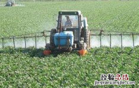 叶面肥种类和使用方法 叶面肥用什么肥料