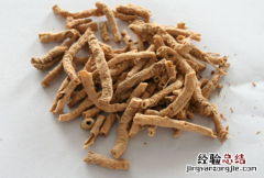 远志 远志的功效与作用的功能与主治用量
