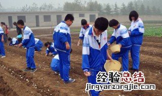 学生劳动学习表怎么做 你知道吗