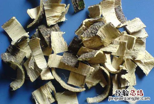 合欢皮的功效与作用主要治什么病 合欢皮