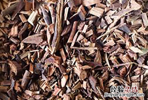首乌藤的功效与作用主要治什么病 首乌藤