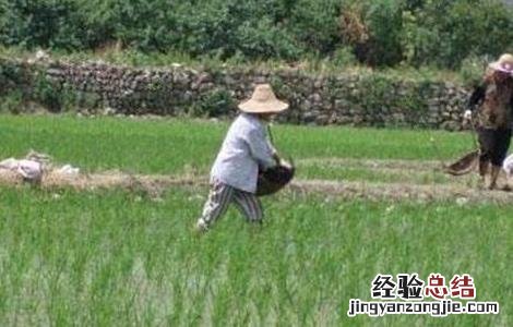 微量元素肥使用注意事项 微量元素肥使用注意事项及禁忌