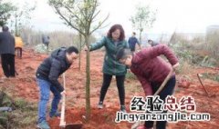 植树节种树要注意什么 你知道吗