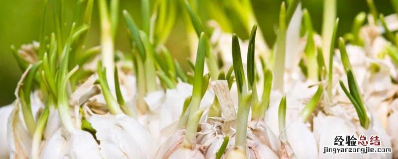 什么农作物适合在秋分时节种植，这些农作物有什么特点