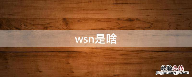 wsn是啥 wsn是啥缩写