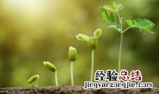 关于成长的名言警句简短 关于成长的名言警句