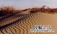 土地沙漠化的原因 西北土地沙漠化的原因