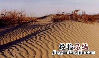 土地沙漠化的原因 西北土地沙漠化的原因
