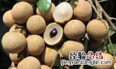 龙眼吃多了会怎么样 你知道答案了吗