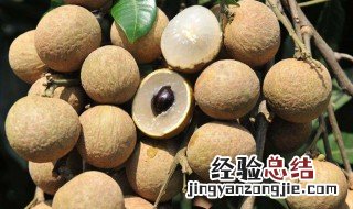 龙眼吃多了会怎么样 你知道答案了吗