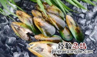 青口贝的功效与作用及食用禁忌 青口贝有哪些功效作用
