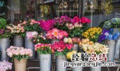 第二个字是花的四字词语 第2字树第4字花的四字成语
