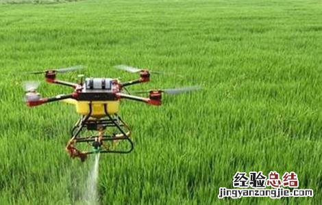 微量元素肥使用注意事项 微量元素肥料施用技术及注意问题