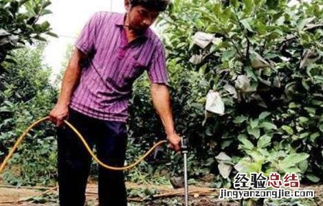 水溶肥怎么施 水溶肥施肥原则及方法